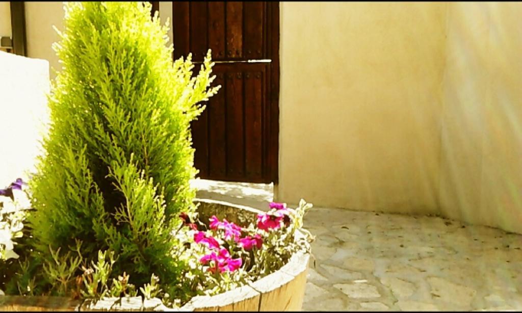 El Jardincillo Guest House Робледо де Чавела Екстериор снимка